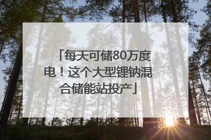 每天可储80万度电！这个大型锂钠混合储能站投产