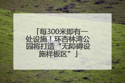 每300米即有一处设施！环杏林湾公园将打造“无障碍设施样板区”
