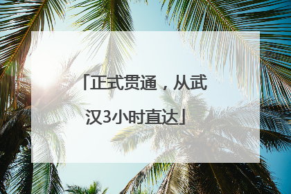 正式贯通，从武汉3小时直达