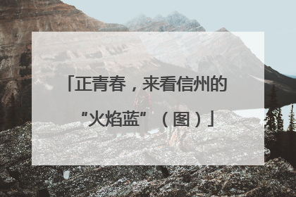 正青春，来看信州的“火焰蓝”（图）