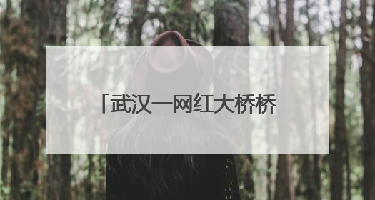 武汉一网红大桥桥下被指圈起来收费，进去100块还必须消费？当地回应