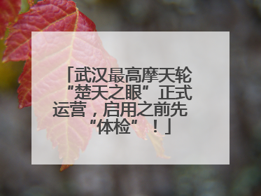 武汉最高摩天轮“楚天之眼”正式运营，启用之前先“体检”！