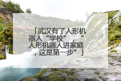 武汉有了人形机器人“学校”，“人形机器人进家庭，这是第一步”
