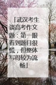 武汉考生谈高考作文题：第一眼看到题目很慌，但整体写得较为流畅