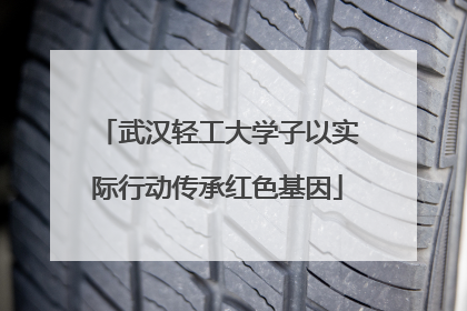 武汉轻工大学子以实际行动传承红色基因
