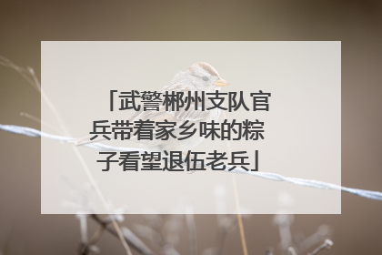 武警郴州支队官兵带着家乡味的粽子看望退伍老兵