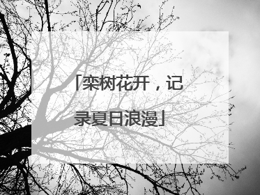 栾树花开，记录夏日浪漫