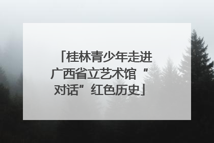 桂林青少年走进广西省立艺术馆“对话”红色历史