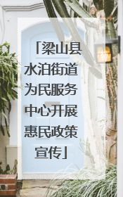 梁山县水泊街道为民服务中心开展惠民政策宣传