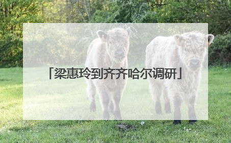 梁惠玲到齐齐哈尔调研