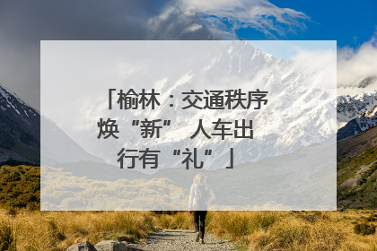 榆林：交通秩序焕“新” 人车出行有“礼”