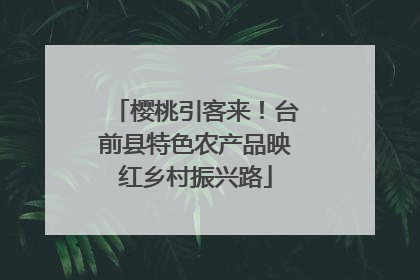 樱桃引客来！台前县特色农产品映红乡村振兴路
