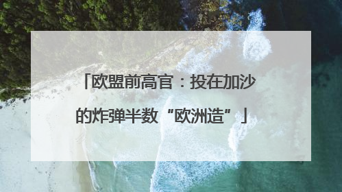 欧盟前高官：投在加沙的炸弹半数“欧洲造”