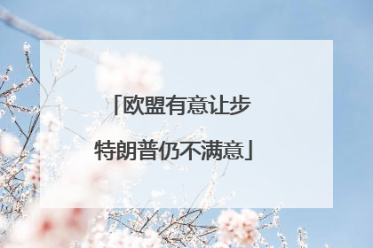 欧盟有意让步 特朗普仍不满意