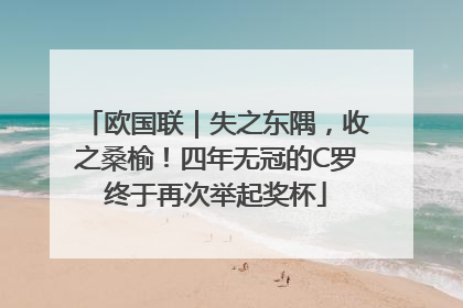欧国联｜失之东隅，收之桑榆！四年无冠的C罗终于再次举起奖杯