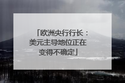 欧洲央行行长：美元主导地位正在变得不确定