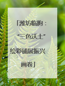 潍坊临朐：“三色沃土”绘彩铺展振兴画卷