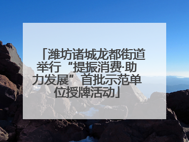 潍坊诸城龙都街道举行“提振消费·助力发展”首批示范单位授牌活动