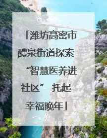 潍坊高密市醴泉街道探索“智慧医养进社区” 托起幸福晚年
