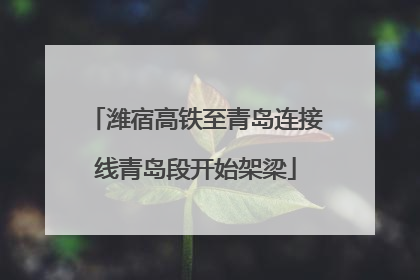 潍宿高铁至青岛连接线青岛段开始架梁