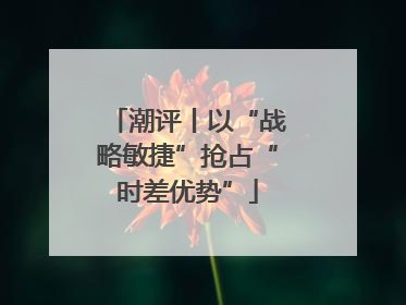 潮评丨以“战略敏捷”抢占“时差优势”