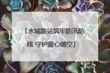 水城路站筑牢防汛防线 守护童心晴空