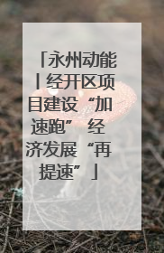 永州动能丨经开区项目建设“加速跑” 经济发展“再提速”