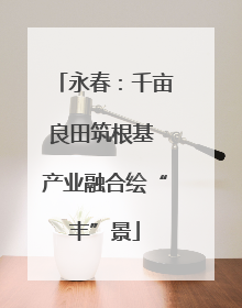 永春：千亩良田筑根基 产业融合绘“丰”景