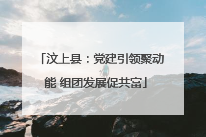汶上县：党建引领聚动能 组团发展促共富