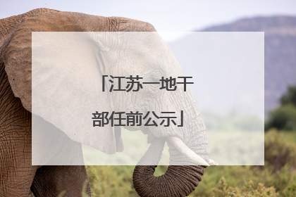 江苏一地干部任前公示