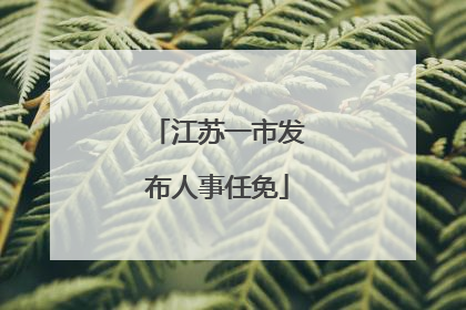 江苏一市发布人事任免