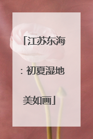 江苏东海：初夏湿地美如画