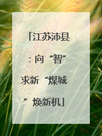 江苏沛县：向“智”求新“煤城”焕新机