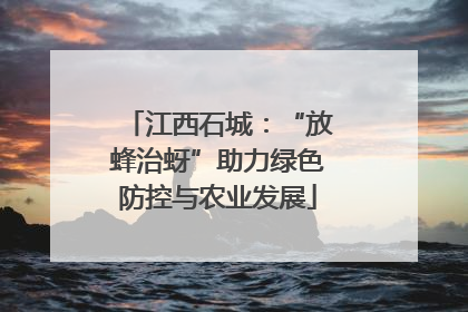江西石城：“放蜂治蚜”助力绿色防控与农业发展