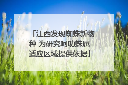 江西发现蜘蛛新物种 为研究呵叻蛛属适应区域提供依据