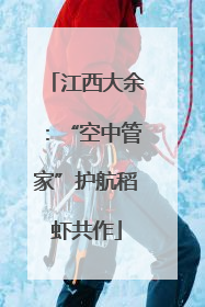江西大余：“空中管家”护航稻虾共作