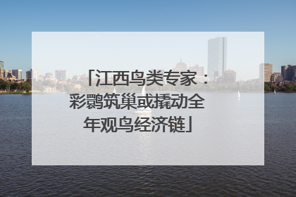 江西鸟类专家：彩鹮筑巢或撬动全年观鸟经济链