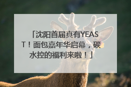 沈阳首届真有YEAST！面包嘉年华启幕，碳水控的福利来啦！