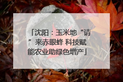 沈阳：玉米地“请”来赤眼蜂 科技赋能农业助绿色增产