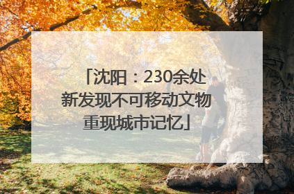 沈阳：230余处新发现不可移动文物重现城市记忆
