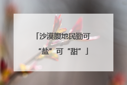 沙漠腹地民勤可“盐”可“甜”