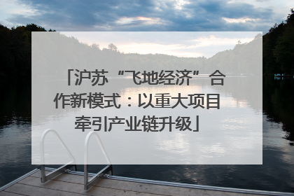 沪苏“飞地经济”合作新模式：以重大项目牵引产业链升级