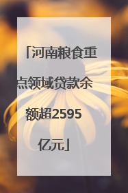 河南粮食重点领域贷款余额超2595亿元