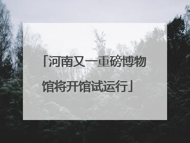 河南又一重磅博物馆将开馆试运行