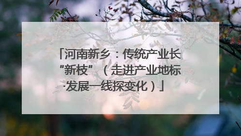 河南新乡：传统产业长“新枝”（走进产业地标·发展一线探变化）