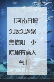 河南日报头版头题聚焦信阳｜小院里有高人气