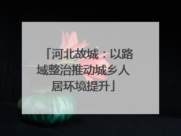 河北故城：以路域整治推动城乡人居环境提升