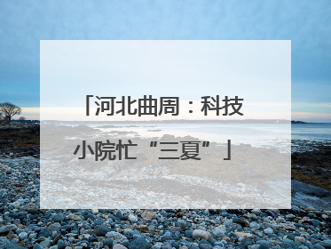 河北曲周：科技小院忙“三夏”