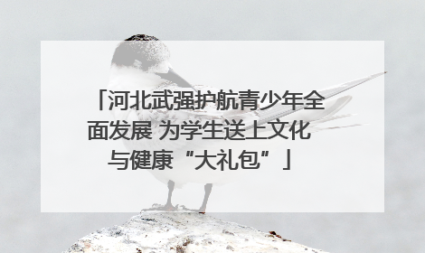 河北武强护航青少年全面发展 为学生送上文化与健康“大礼包”