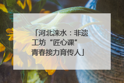 河北涞水：非遗工坊“匠心课” 青春接力育传人